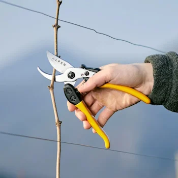 Alpen makaze za orezivanje 63mm Gelbhorn 150 Alpen makaze za orezivanje 63mm Gelbhorn 150