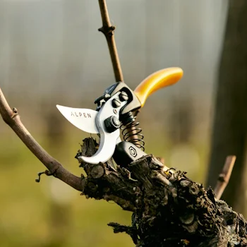 Alpen makaze za orezivanje 63mm Gelbhorn 150 Alpen makaze za orezivanje 63mm Gelbhorn 150