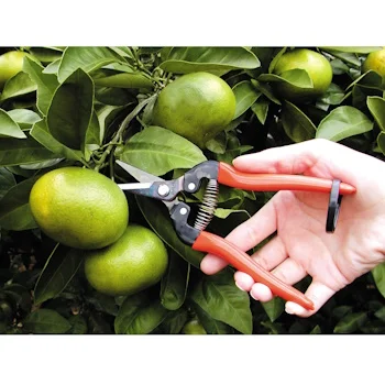 Ars Tools makaze za branje 300L-2