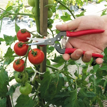 Ars Tools makaze za branje 300L-3