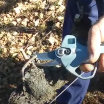 Arvipo električne makaze PS 27 Arvipo električne makaze PS 27