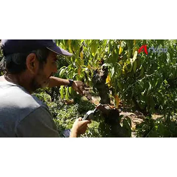 Arvipo električne makaze PS 37-2