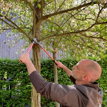 Bahco makaze za orezivanje dvoručne 50cm rez 30mm P16-50-F Bahco makaze za orezivanje dvoručne 50cm rez 30mm P16-50-F