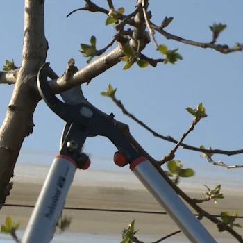 Bahco makaze za orezivanje dvoručne 80cm rez 45mm P280-SL-80-4