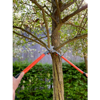 Bahco makaze za orezivanje dvoručne 40cm rez 30mm P16-40 Bahco makaze za orezivanje dvoručne 40cm rez 30mm P16-40