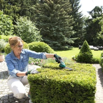 Bosch akumulatorske makaze za travu i žbunje ISIO III 0600833108 Bosch akumulatorske makaze za travu i žbunje ISIO III 0600833108