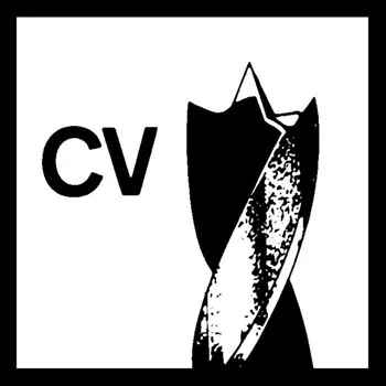 Bosch spiralna burgija za drvo standard 2608597205 Bosch spiralna burgija za drvo standard 2608597205