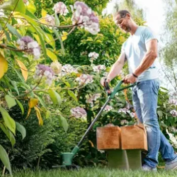 Bosch električni trimer za travu EasyGrassCut 23 280W 23cm 06008C1H01-1