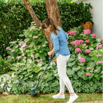 Bosch električni trimer za travu EasyGrassCut 23 280W 23cm 06008C1H01 Bosch električni trimer za travu EasyGrassCut 23 280W 23cm 06008C1H01