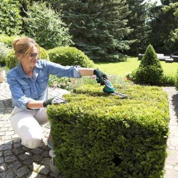 Bosch set akumulatorskih makaza za žbunje i travu ISIO III ZA TRAVU I ŽBUNJE + nastavak za sejanje 060083310N Bosch set akumulatorskih makaza za žbunje i travu ISIO III ZA TRAVU I ŽBUNJE + nastavak za sejanje 060083310N