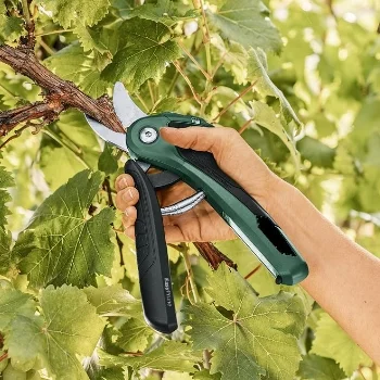 Bosch akumulatorske makaze za orezivanje EasyPrune 06008B2102-2