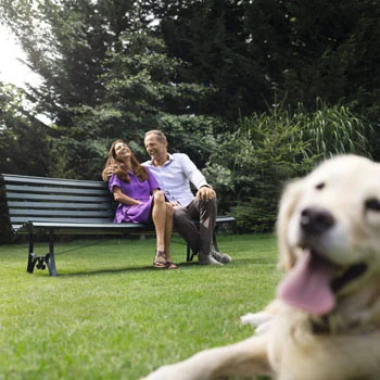 Bosch akumulatorski trimer za travu ART 23-18 LI 06008A5C06 Bosch akumulatorski trimer za travu ART 23-18 LI 06008A5C06