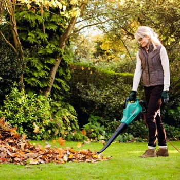 Bosch usisivač/duvač lišća ALS 30 06008A1100-1