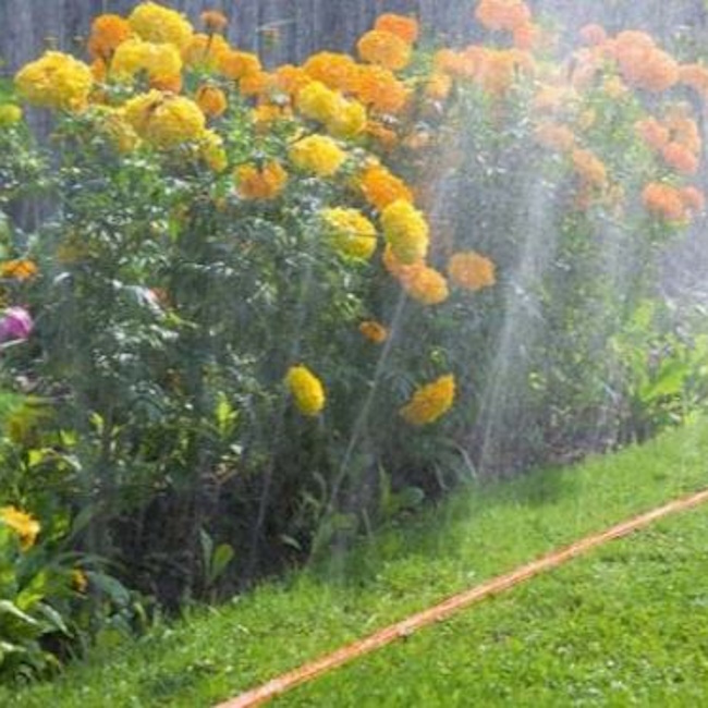 Bradas crevo spritz hose sa 3 kanala 7.5m WSH16 Bradas crevo spritz hose sa 3 kanala 7.5m WSH16