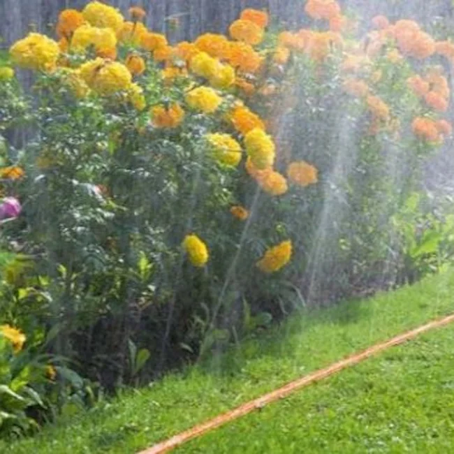 Bradas crevo spritz hose sa 3 kanala 7.5m WSH16 Bradas crevo spritz hose sa 3 kanala 7.5m WSH16