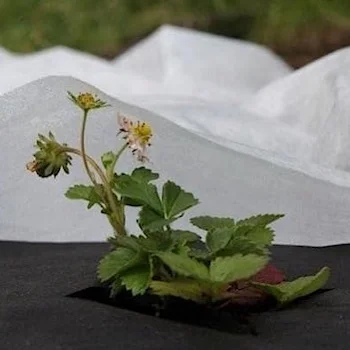 Bradas folija za prekrivanje 30g 1.6 x 10 m AWW3016010 Bradas folija za prekrivanje 30g 1.6 x 10 m AWW3016010