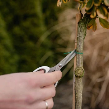 Bradas kancelarijske univerzalne makaze 175mm DIY SCWL208/175-B-1