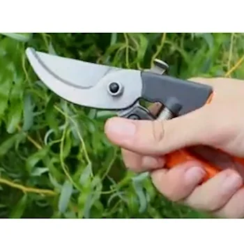 Bradas makaze KT-V1033-2