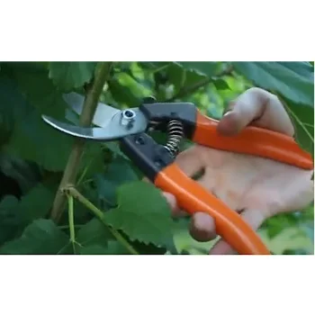 Bradas makaze KT-V1033-3