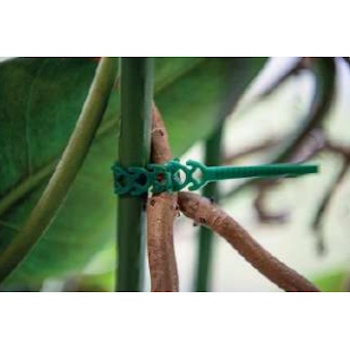 Bradas vezice za malinu 5.4x170mm 50/1 TYT54170GR/50-1