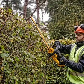 DeWalt akumulatorski trimer za ogradu 18V DCMHT563N-5