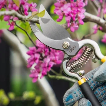 Deli makaze za orezivanje jednoručne Standard 210mm EDL2778-2