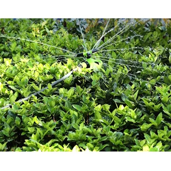 Deli prskalica rotirajuća 3 glave Green line 3/4