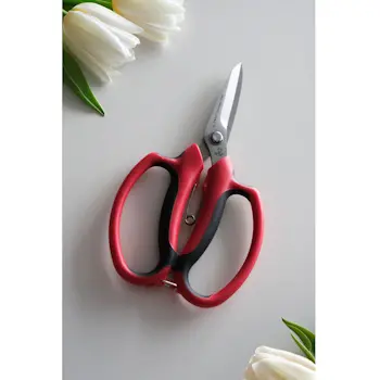 Due Cigni makaze za rezano cveće 379/19-1