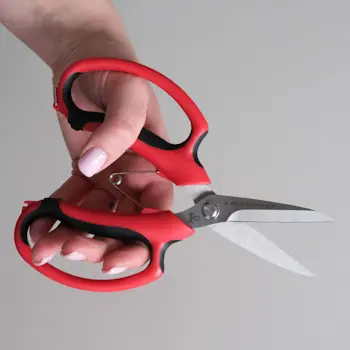 Due Cigni makaze za rezano cveće 379/19-2