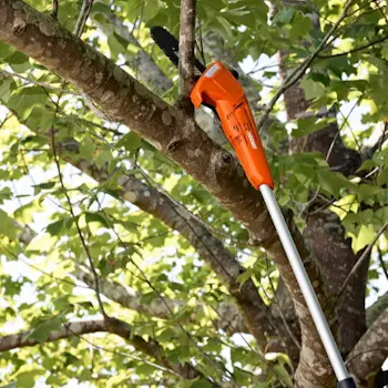 Echo akumulatorska teleskopska testera za grane 40V DPPF 310 85953-6