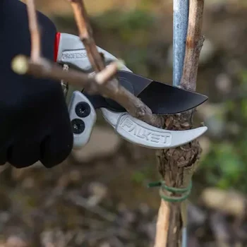 Falket makaze voćarske 21cm 2030-3