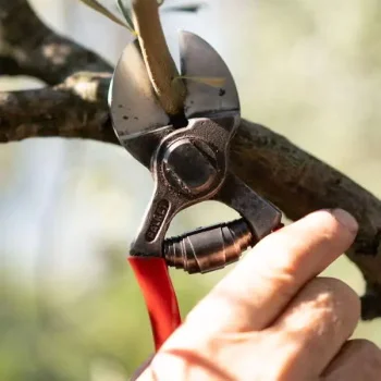 Falket makaze voćarske  profesionalne 2100-2