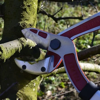 Falket makaze za grane 80cm 8006-1