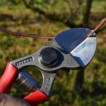 Falket voćarske makaze Skill 6311 Falket voćarske makaze Skill 6311