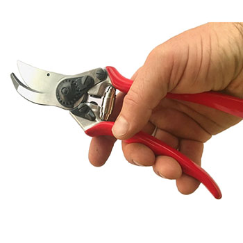 Felco komplet - makaze za orezivanje Felco 11 + zaštitne rukavice Felco 702 (L, XL) Felco komplet - makaze za orezivanje Felco 11 + zaštitne rukavice Felco 702 (L, XL)