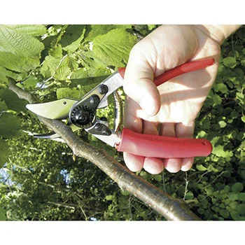 Felco makaze za orezivanje jednoručne 12 Felco makaze za orezivanje jednoručne 12