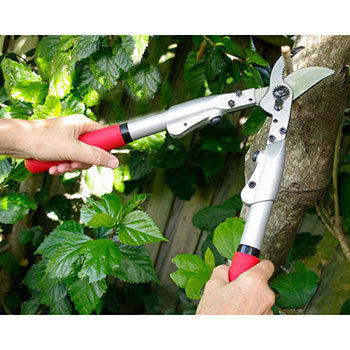 Felco makaze za orezivanje dvoručne 200A-40 Felco makaze za orezivanje dvoručne 200A-40