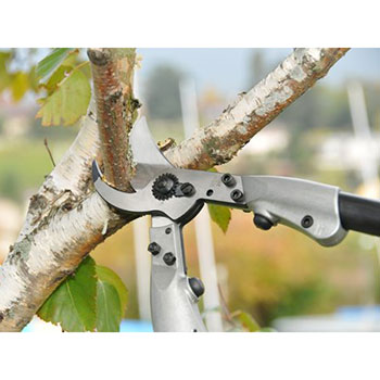 Felco makaze za orezivanje dvoručne 210C-60 Felco makaze za orezivanje dvoručne 210C-60