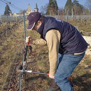 Felco makaze za orezivanje dvoručne 210C-60 Felco makaze za orezivanje dvoručne 210C-60