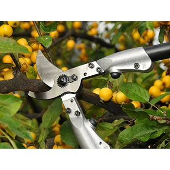 Felco makaze za orezivanje dvoručne 210C-60 Felco makaze za orezivanje dvoručne 210C-60