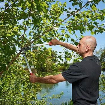 Felco makaze za orezivanje dvoručne 211-60 Felco makaze za orezivanje dvoručne 211-60