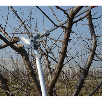 Felco makaze za orezivanje dvoručne 220-6