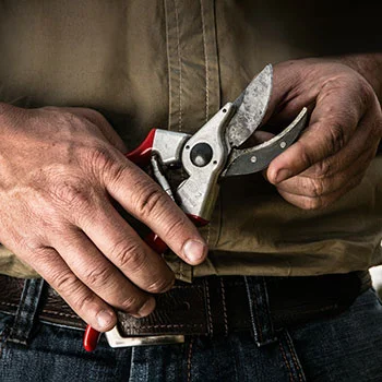 Felco makaze za orezivanje jednoručne 2 Felco makaze za orezivanje jednoručne 2