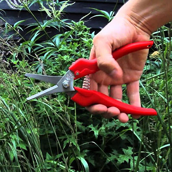 Felco makaze za branje i podrezivanje 310 Felco makaze za branje i podrezivanje 310