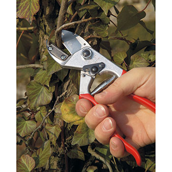 Felco komplet - makaze za orezivanje Felco 31 + džepni nož Felco 500 Felco komplet - makaze za orezivanje Felco 31 + džepni nož Felco 500