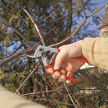 Felco komplet - makaze za orezivanje Felco 31 + džepni nož Felco 500 Felco komplet - makaze za orezivanje Felco 31 + džepni nož Felco 500