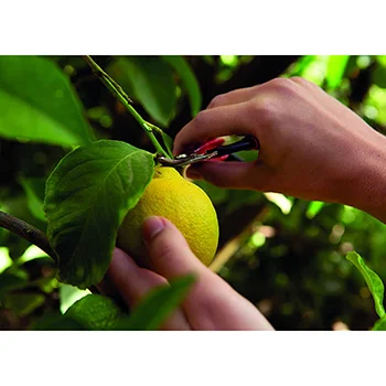 Felco makaze za branje i podrezivanje 320-4