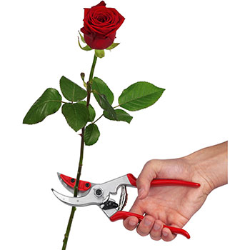 Felco makaze za orezivanje jednoručne 4 C&H Felco makaze za orezivanje jednoručne 4 C&H