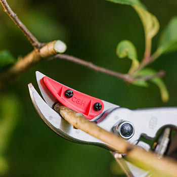 Felco makaze za orezivanje jednoručne 4 C&H Felco makaze za orezivanje jednoručne 4 C&H