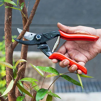 Felco makaze za orezivanje jednoručne 5 Felco makaze za orezivanje jednoručne 5